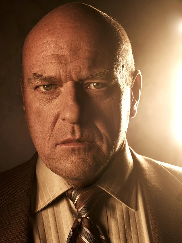 Broad-shouldered man with a determined look — Hank Schrader