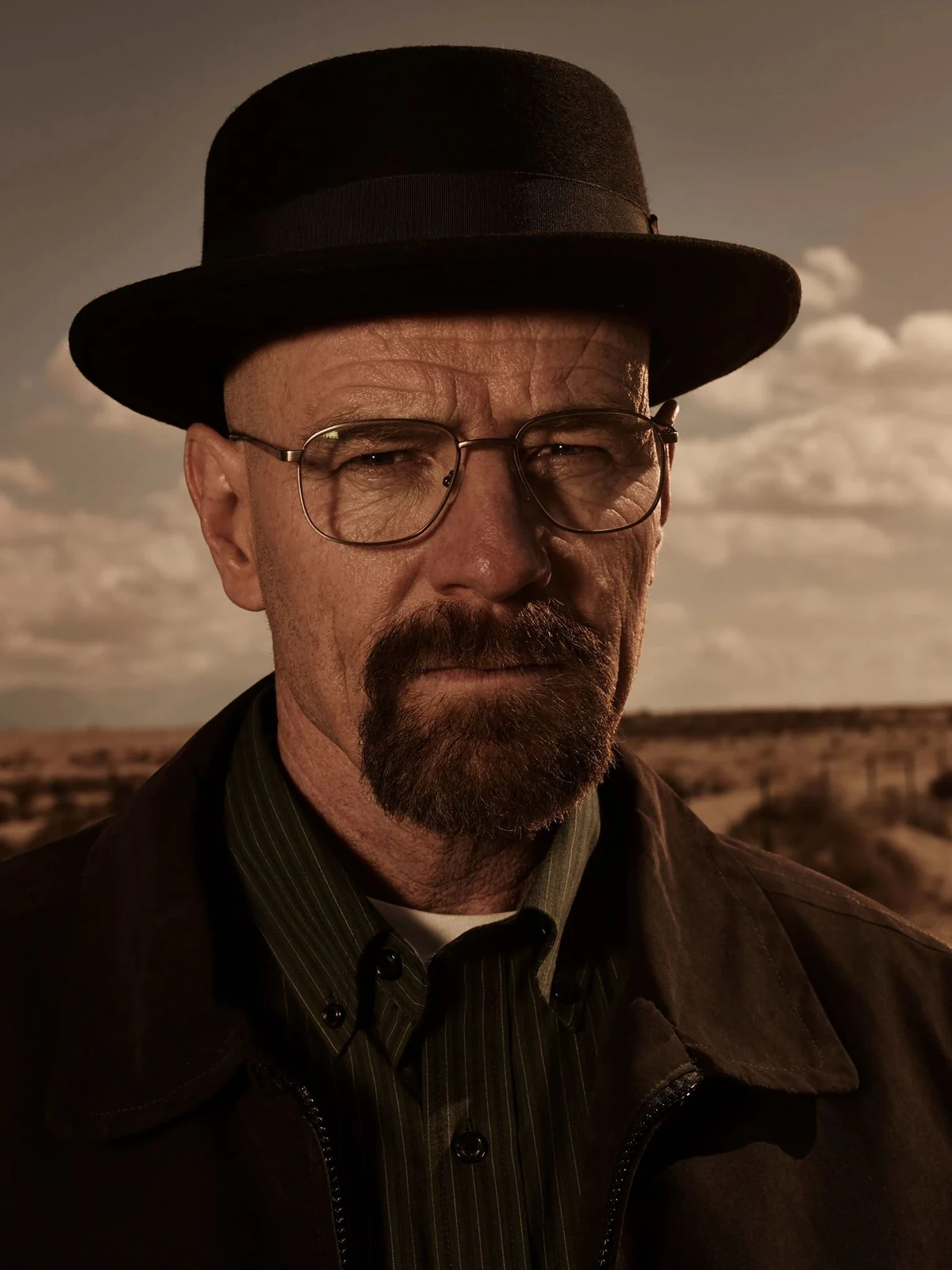 Portrait of a middle-aged man with intense gaze — Walter White